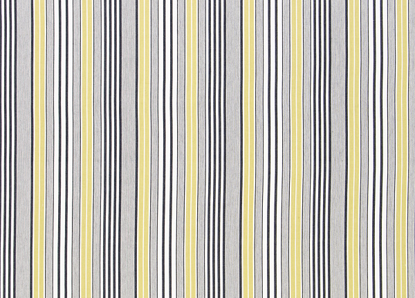Ткань Designers Guild Tickings F1907/02