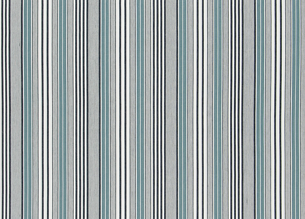 Ткань Designers Guild Tickings F1907/03