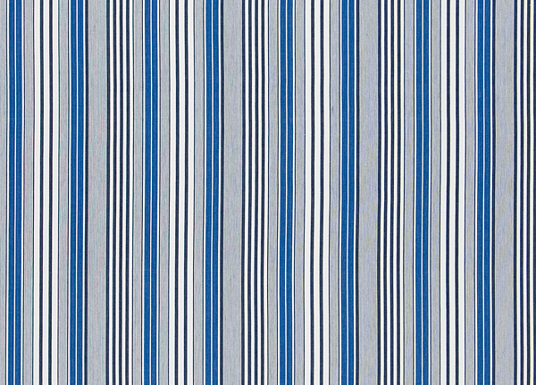 Ткань Designers Guild Tickings F1907/06