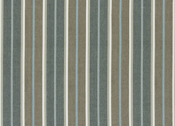Ткань Designers Guild Tickings F1910/01