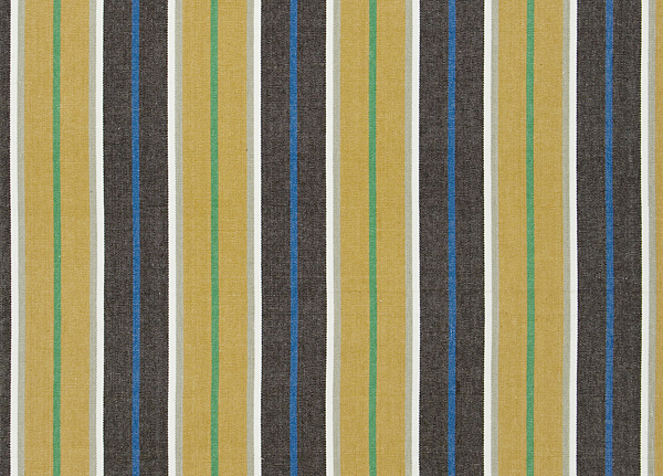 Ткань Designers Guild Tickings F1910/02