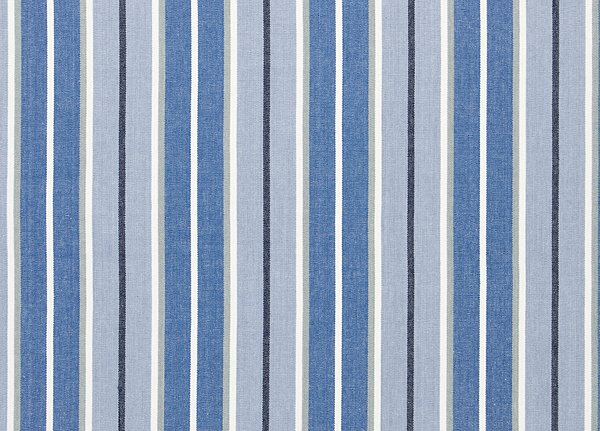 Ткань Designers Guild Tickings F1910/03
