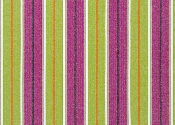 Ткань Designers Guild Tickings F1910/04