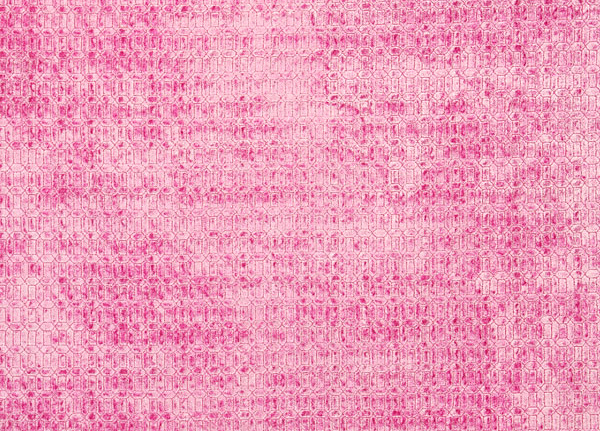 Ткань Designers Guild Perreau F1927/10