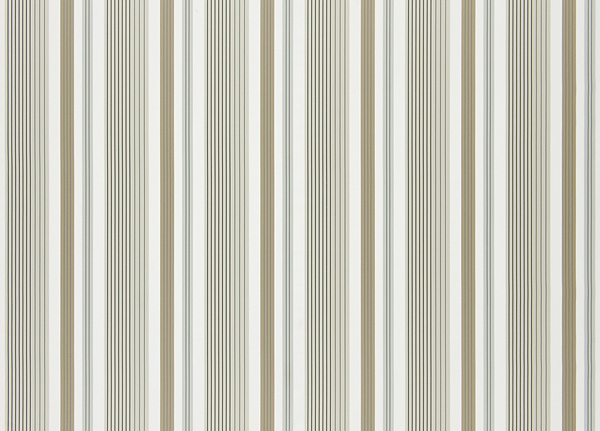 Ткань Designers Guild Fleuve F1929/01