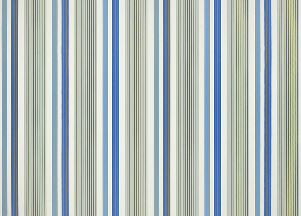 Ткань Designers Guild Fleuve F1929/03