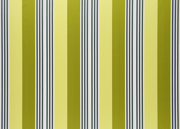Ткань Designers Guild Fleuve F1931/02