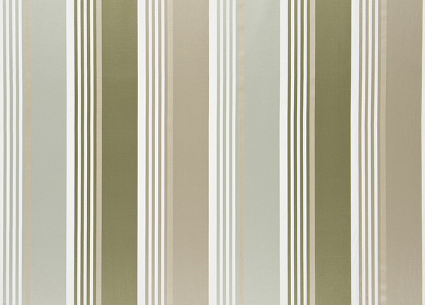 Ткань Designers Guild Fleuve F1932/01
