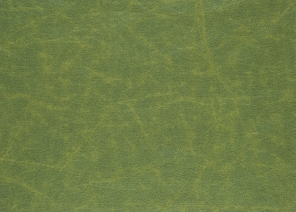 Ткань Designers Guild Arizona F1935/22