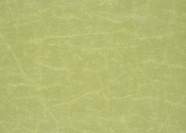 Ткань Designers Guild Arizona F1935/23