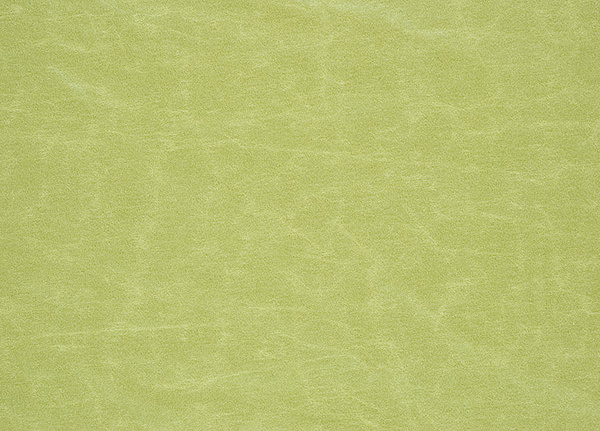 Ткань Designers Guild Arizona F1935/24