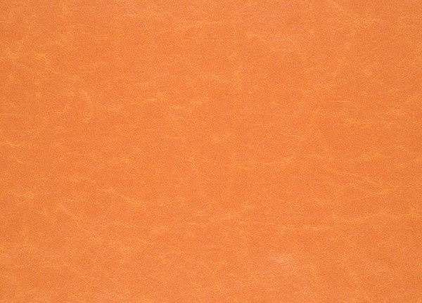 Ткань Designers Guild Arizona F1935/26
