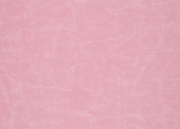 Ткань Designers Guild Arizona F1935/29