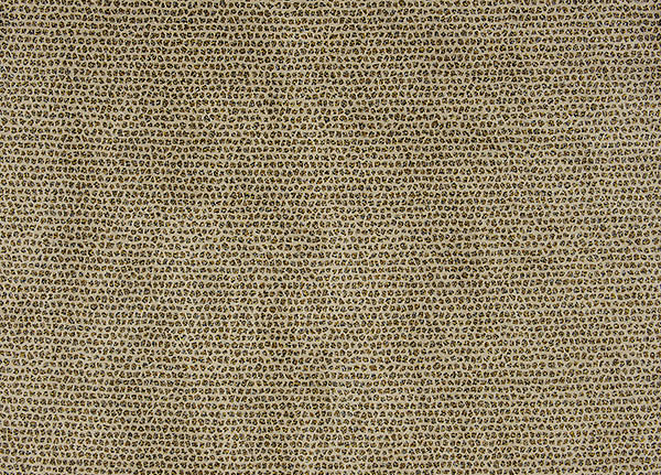 Ткань Designers Guild Castellani F1941/01