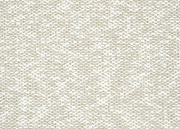 Ткань Designers Guild Moselle F1962/01