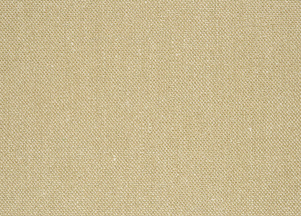 Ткань Designers Guild Moselle F1964/01