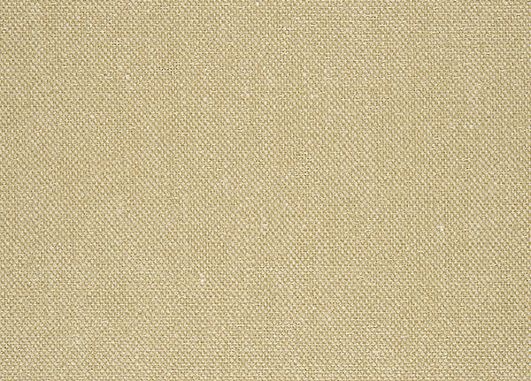 Ткань Designers Guild Moselle F1964/01