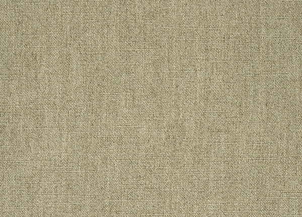 Ткань Designers Guild Moselle F1965/03