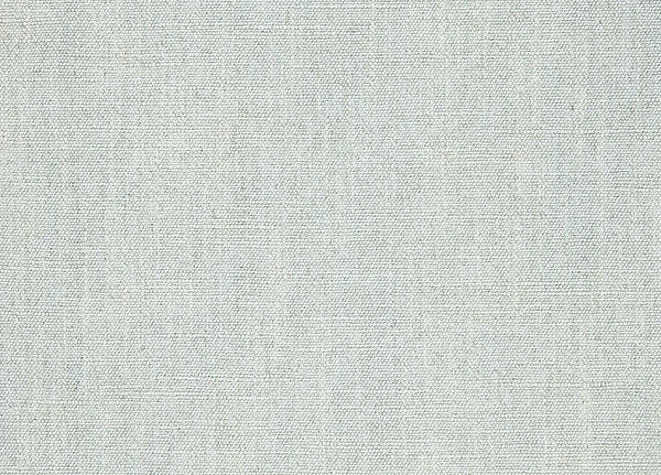 Ткань Designers Guild Moselle F1965/04