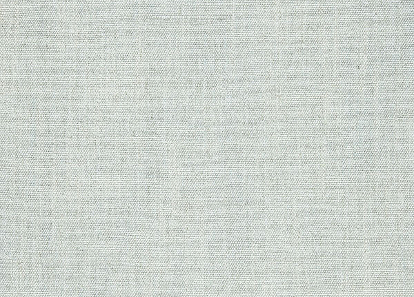 Ткань Designers Guild Moselle F1965/04