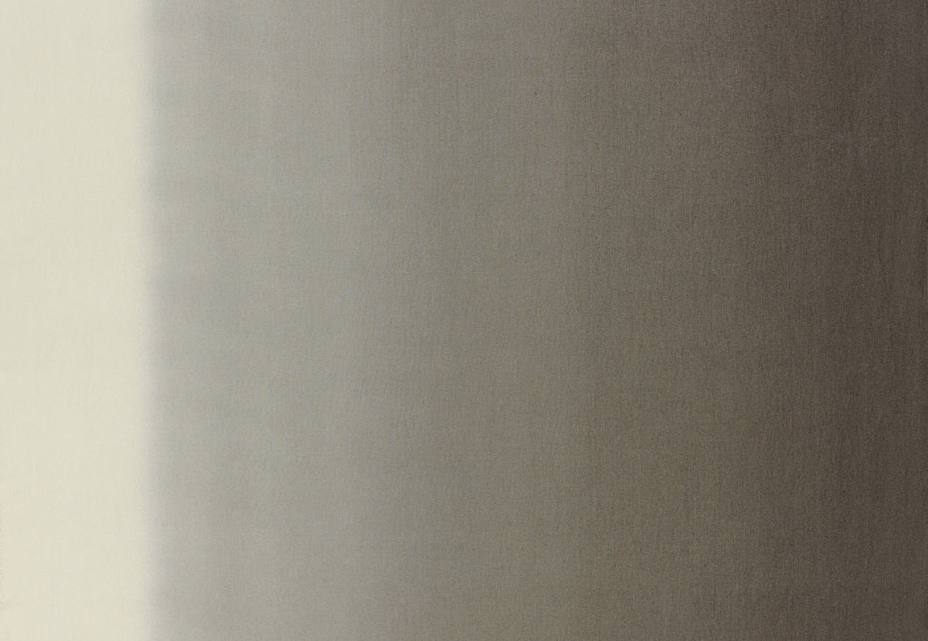 Ткань Designers Guild Padua F1987/02