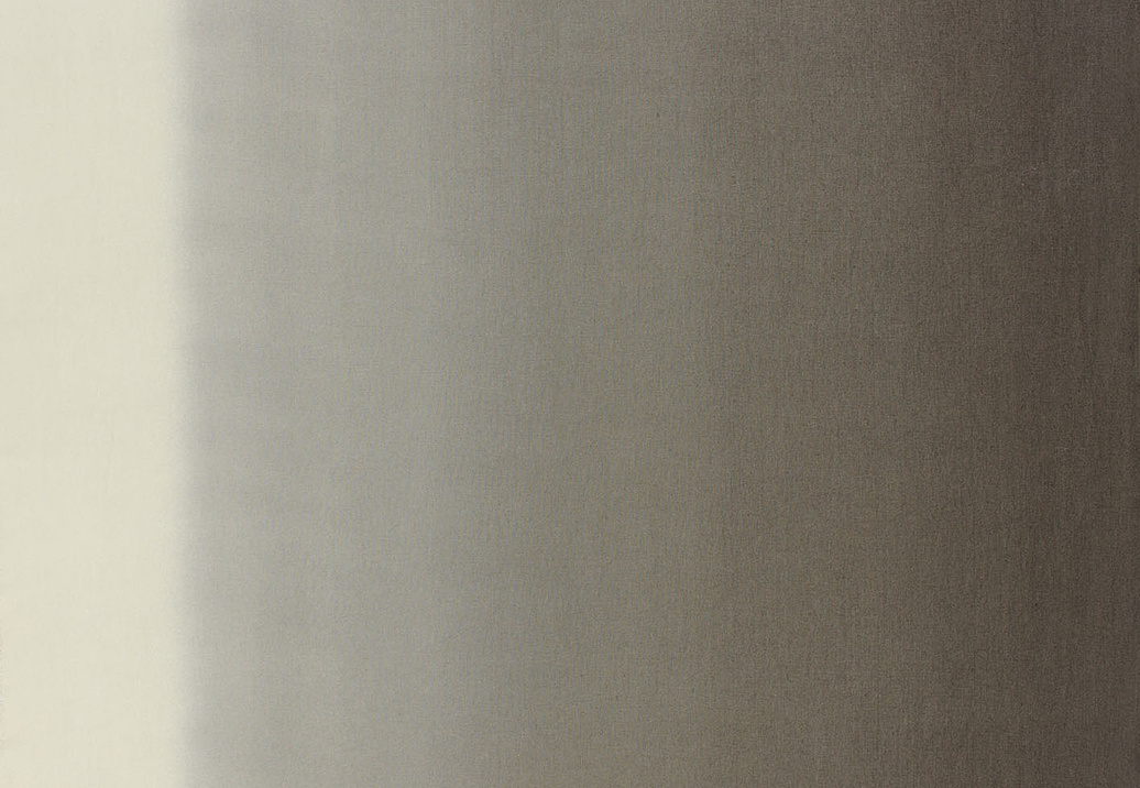 Ткань Designers Guild Padua F1987/02