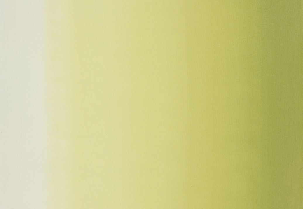 Ткань Designers Guild Padua F1987/03