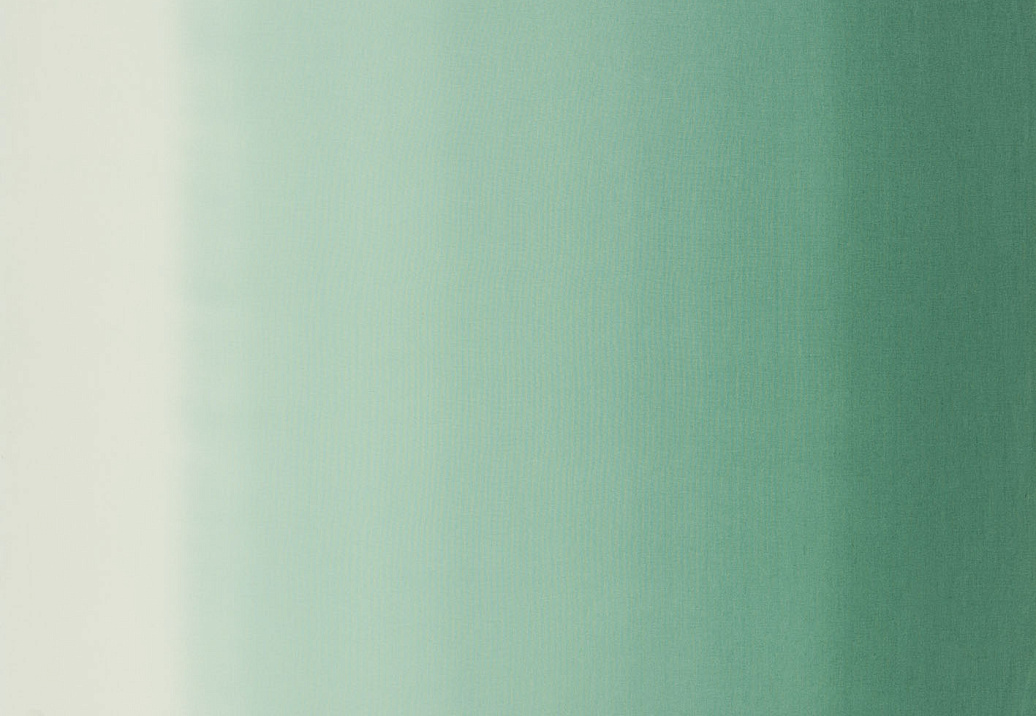 Ткань Designers Guild Padua F1987/04