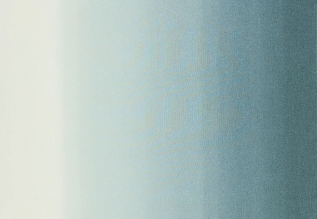 Ткань Designers Guild Padua F1987/05