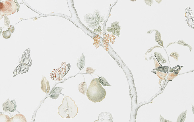 Английские обои Sanderson, коллекция Art of the Garden, артикул 216313