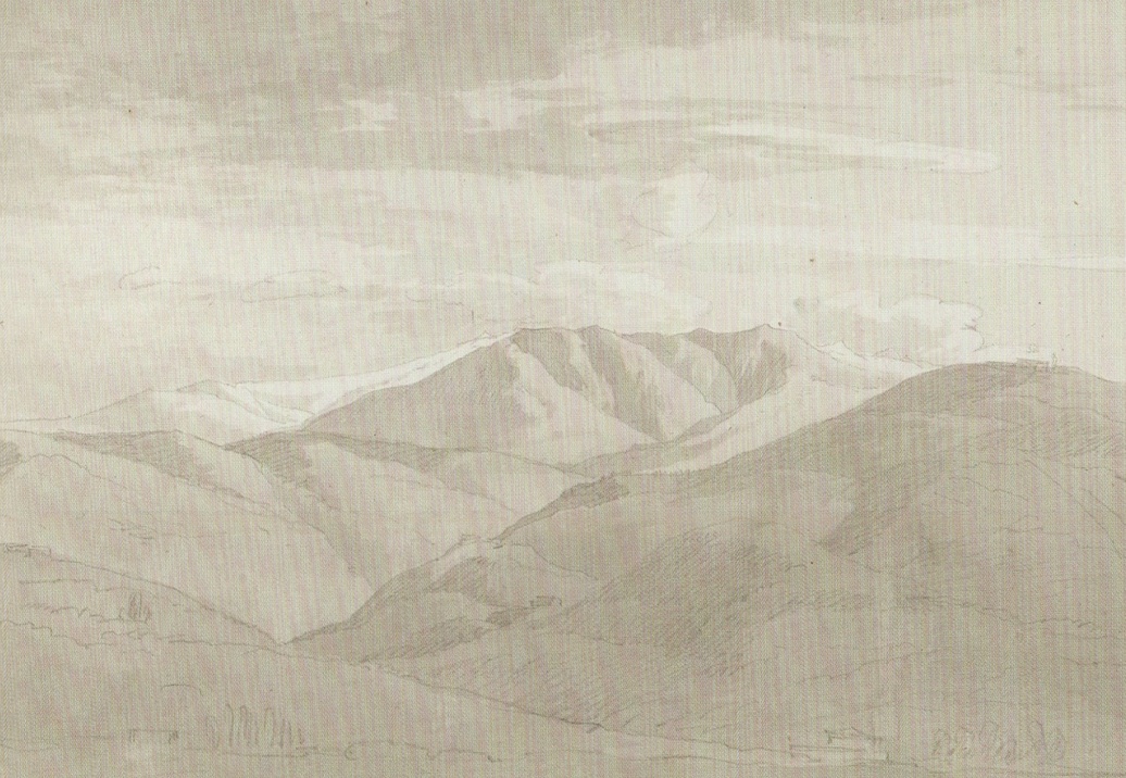 Панно и фотообои Aquarelle Juno 96817