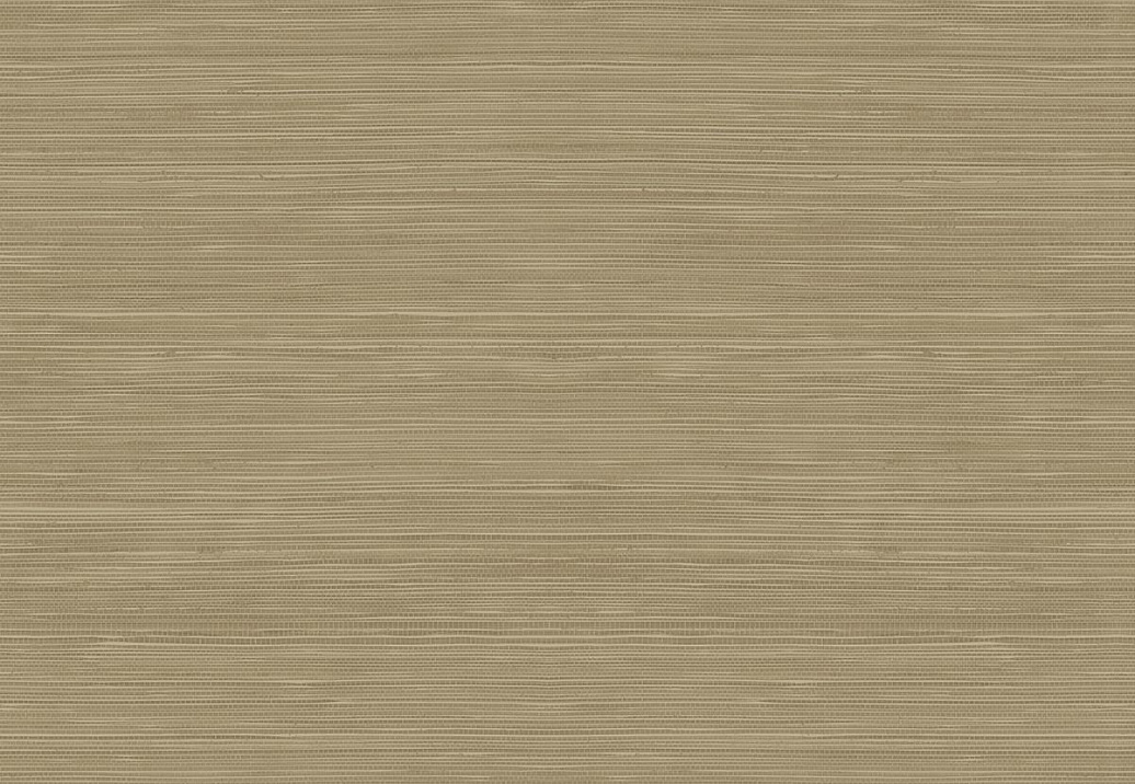 Обои Jaima Brown Woodlands Resource JB22306