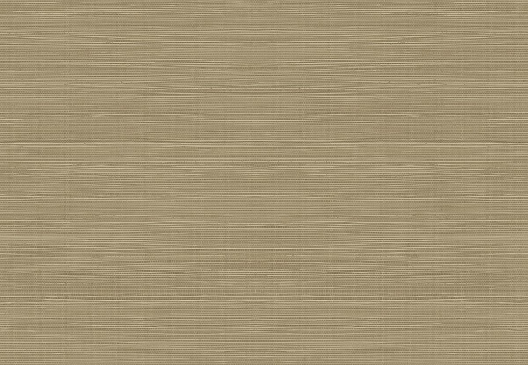 Обои Jaima Brown Woodlands Resource JB22306