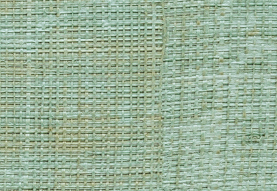 Обои Elitis Raffia & Madagascar VP60142