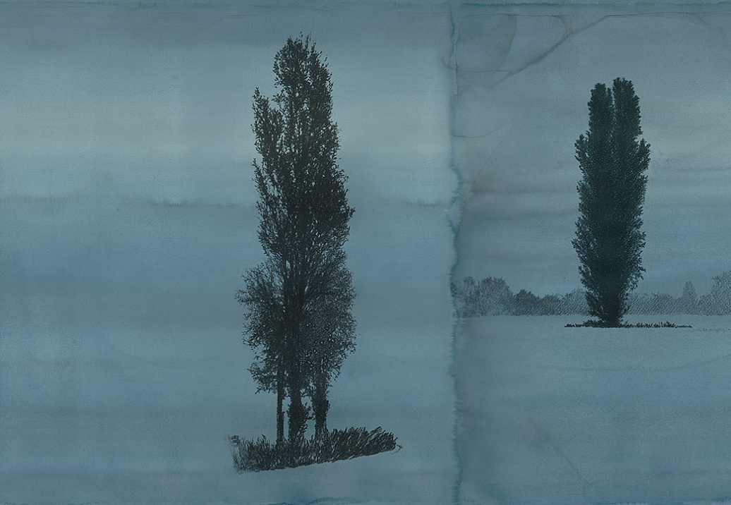 Панно и фотообои Tecnografica Collection 2017 Giorgia Beltrami: Pensiero Naturale