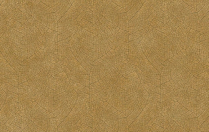Французские обои Casadeco, коллекция Woods, артикул WOOD26212313