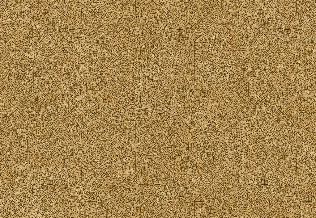 Обои Casadeco Woods WOOD26212313