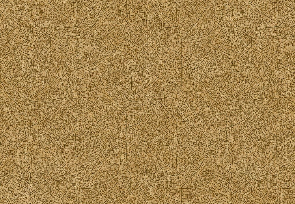 Обои Casadeco Woods WOOD26212313