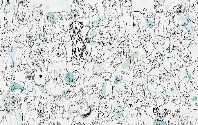 Российские обои Factura, коллекция Kids, артикул DOGGYLAND/3