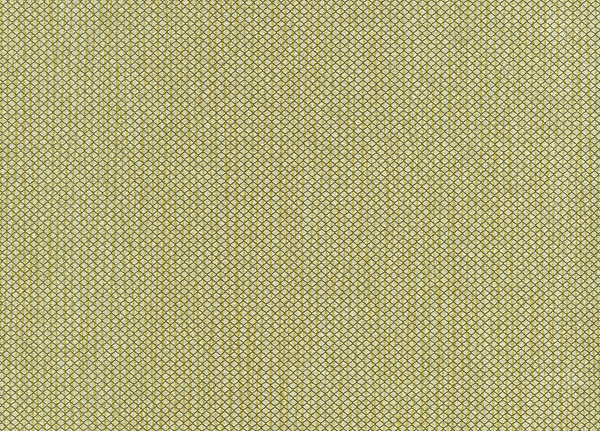Обои Hookedonwalls Delicate Chic 73205