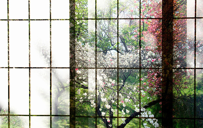 Немецкие панно и фотообои A. S. Creation, коллекция Living Walls - Walls by Patel 2, артикул DD113734