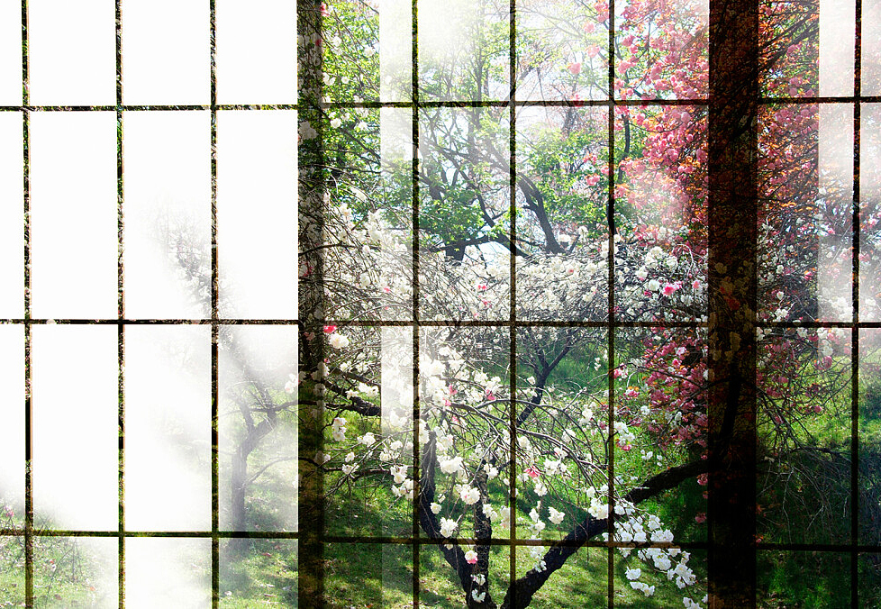 Панно и фотообои A. S. Creation Living Walls - Walls by Patel 2 DD113734