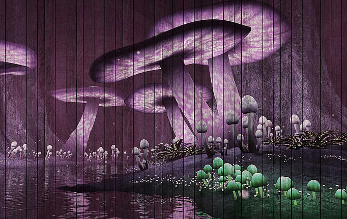 Немецкие панно и фотообои A. S. Creation, коллекция Living Walls - Walls by Patel 2, артикул DD113954