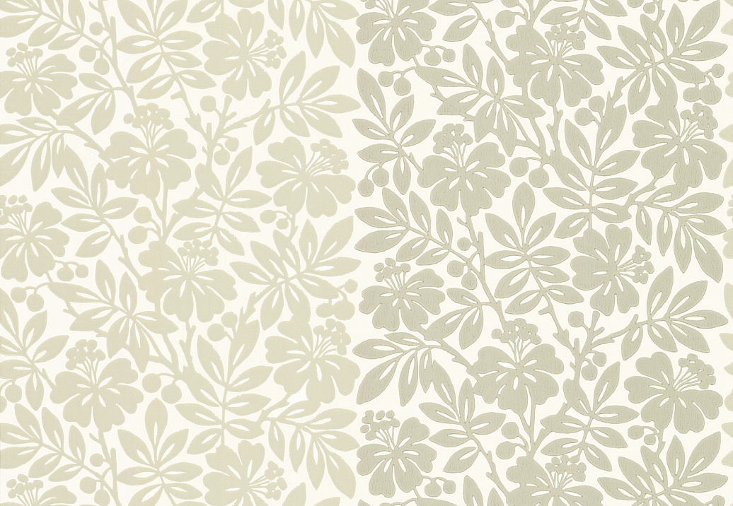 Обои Little Greene Painted Papers 0286CTSOLTI