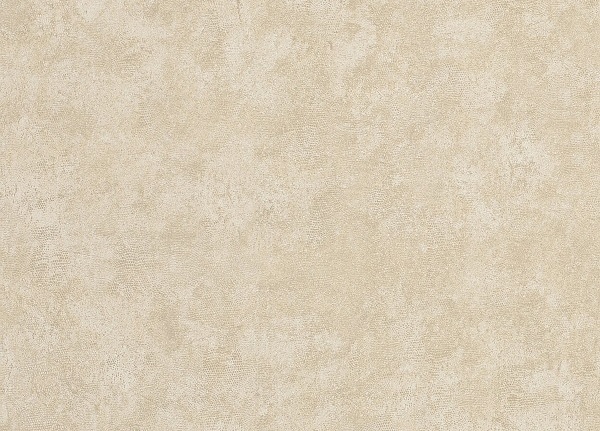 Обои Chivasso Ghost CA8204/070
