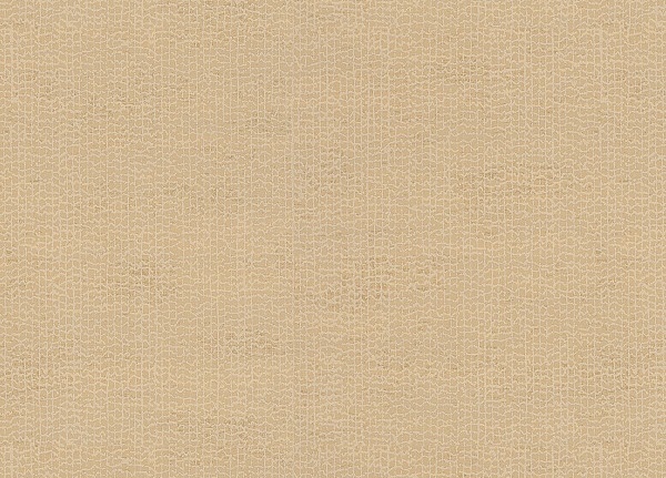 Обои Chivasso Ghost CA8205/040