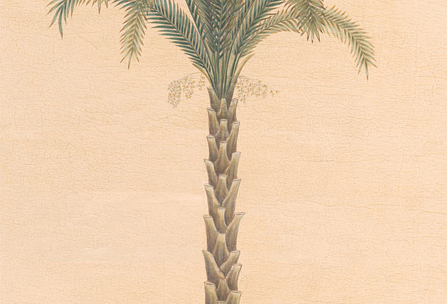 Панно и фотообои Iksel Scenic & Architectural Wallpapers Potted Palms PT09