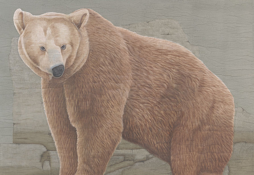 Панно и фотообои Iksel Scenic & Architectural Wallpapers Tourist Animals Brown Bear