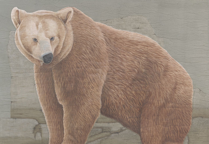 Панно и фотообои Iksel Scenic & Architectural Wallpapers Tourist Animals Brown Bear