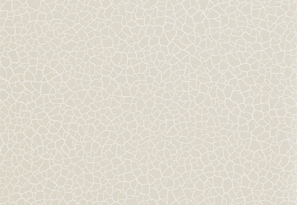 Обои Zoffany Akaishi 312526